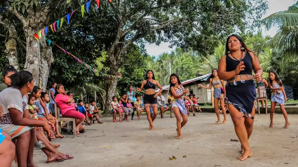 Best Times to Travel jungle