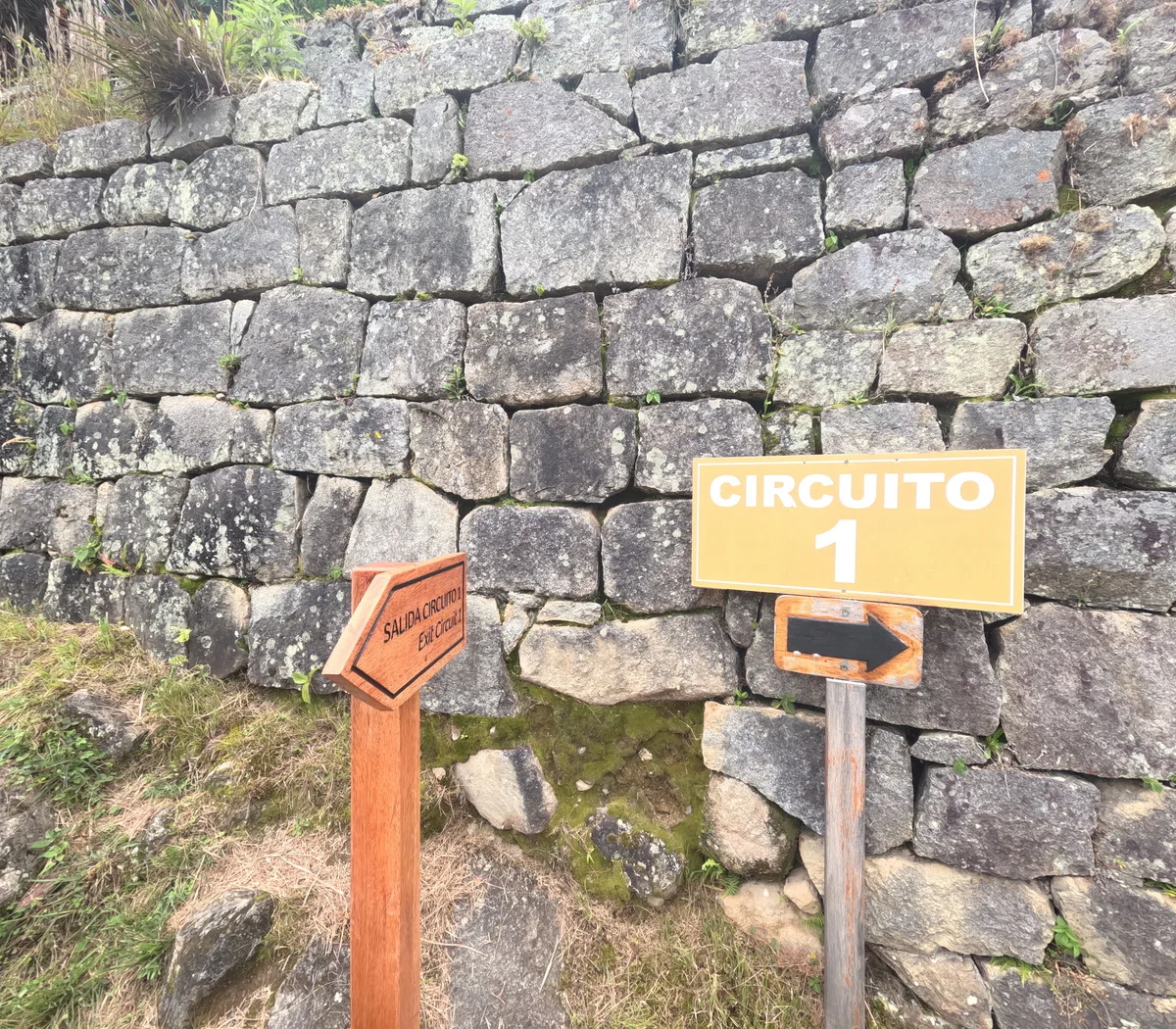 Is Circuit 1 Right for You