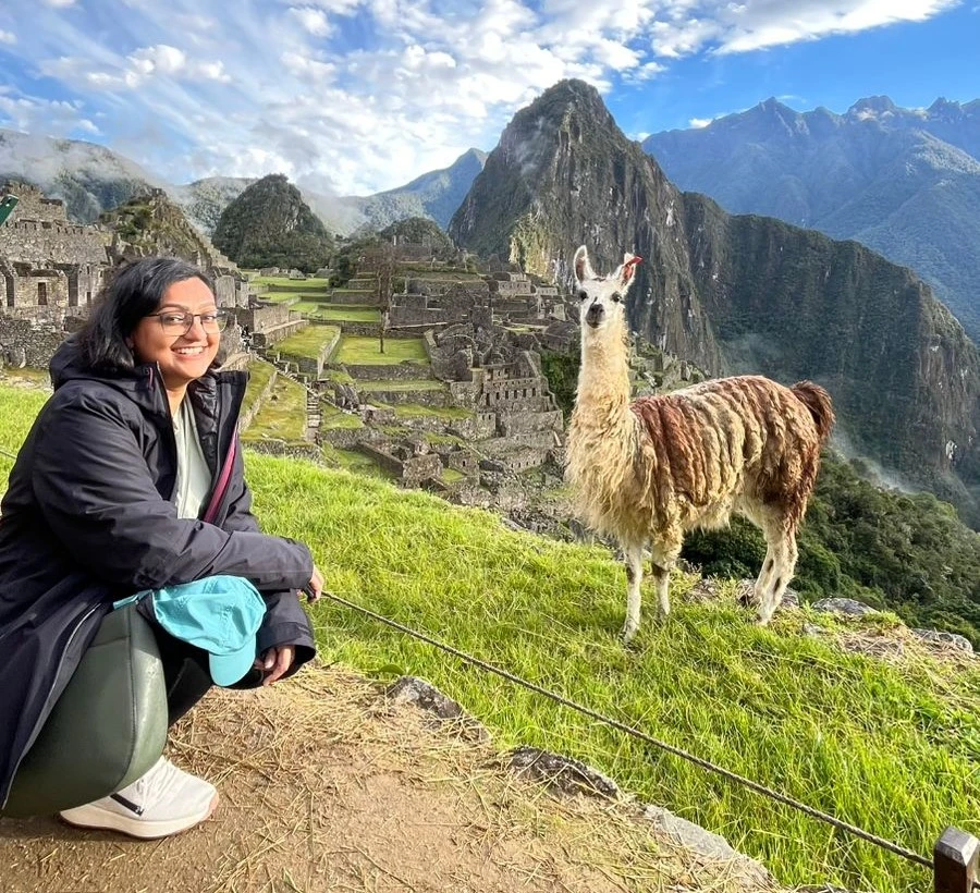 Mapi Classic View with person and llama