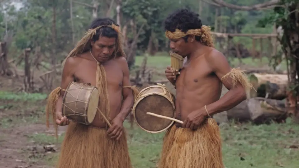 Most Common Instruments Used in Traditional Amazonian Dances
