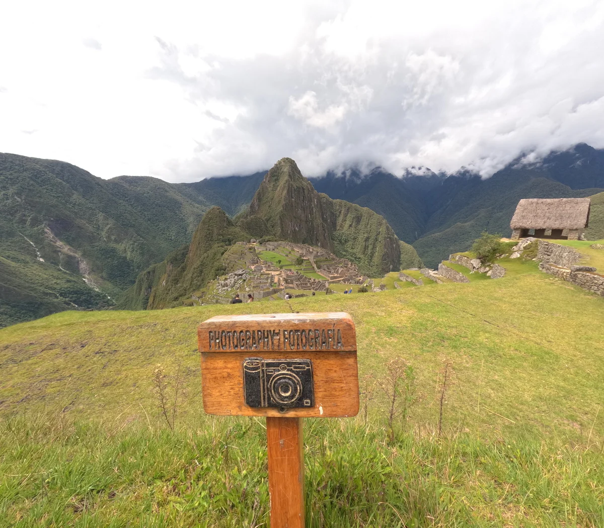 What You’ll See on Circuit 1 