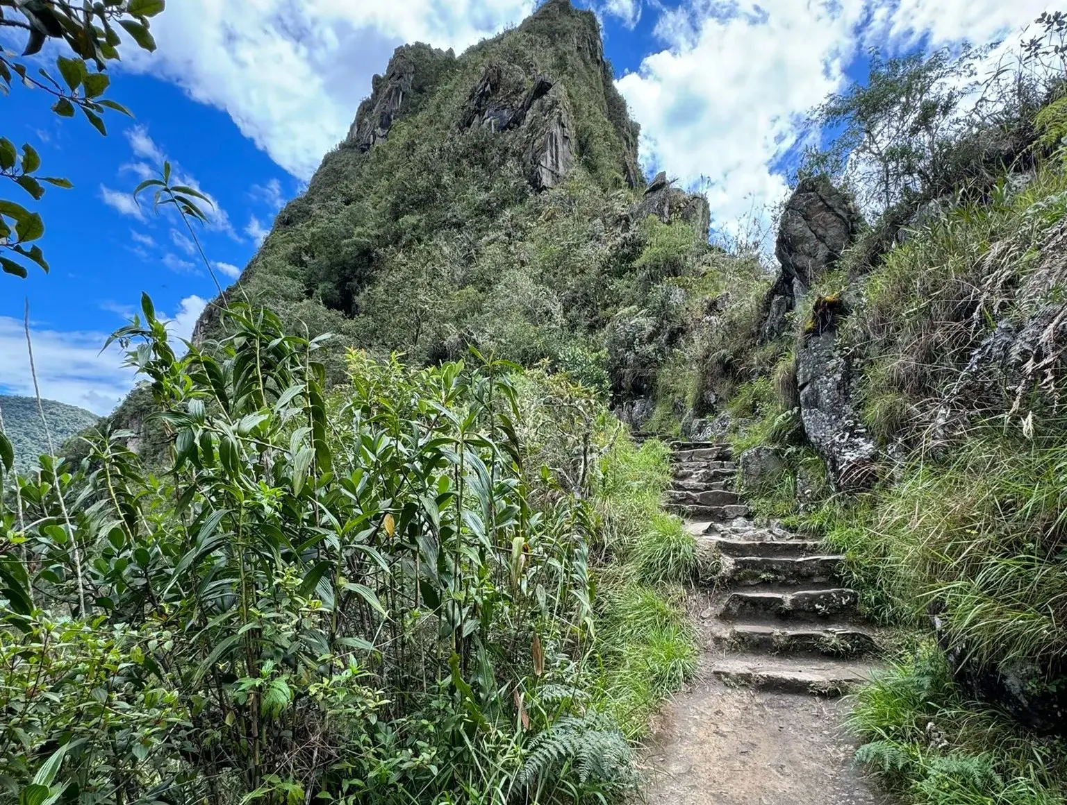 Inca Trail path | Champions Peru Travel