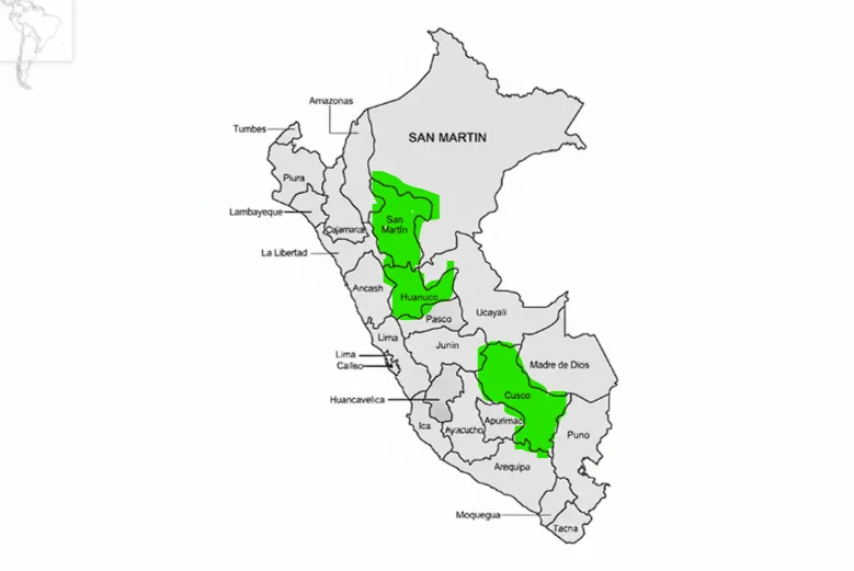 lugares de selva alta en peru