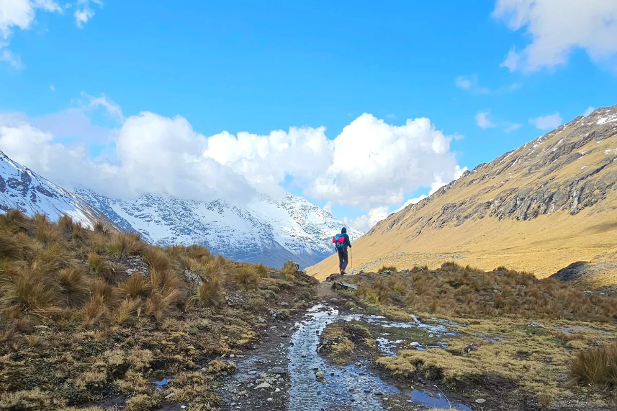 Hiker on the Salkantay Trek beneath snowy peaks