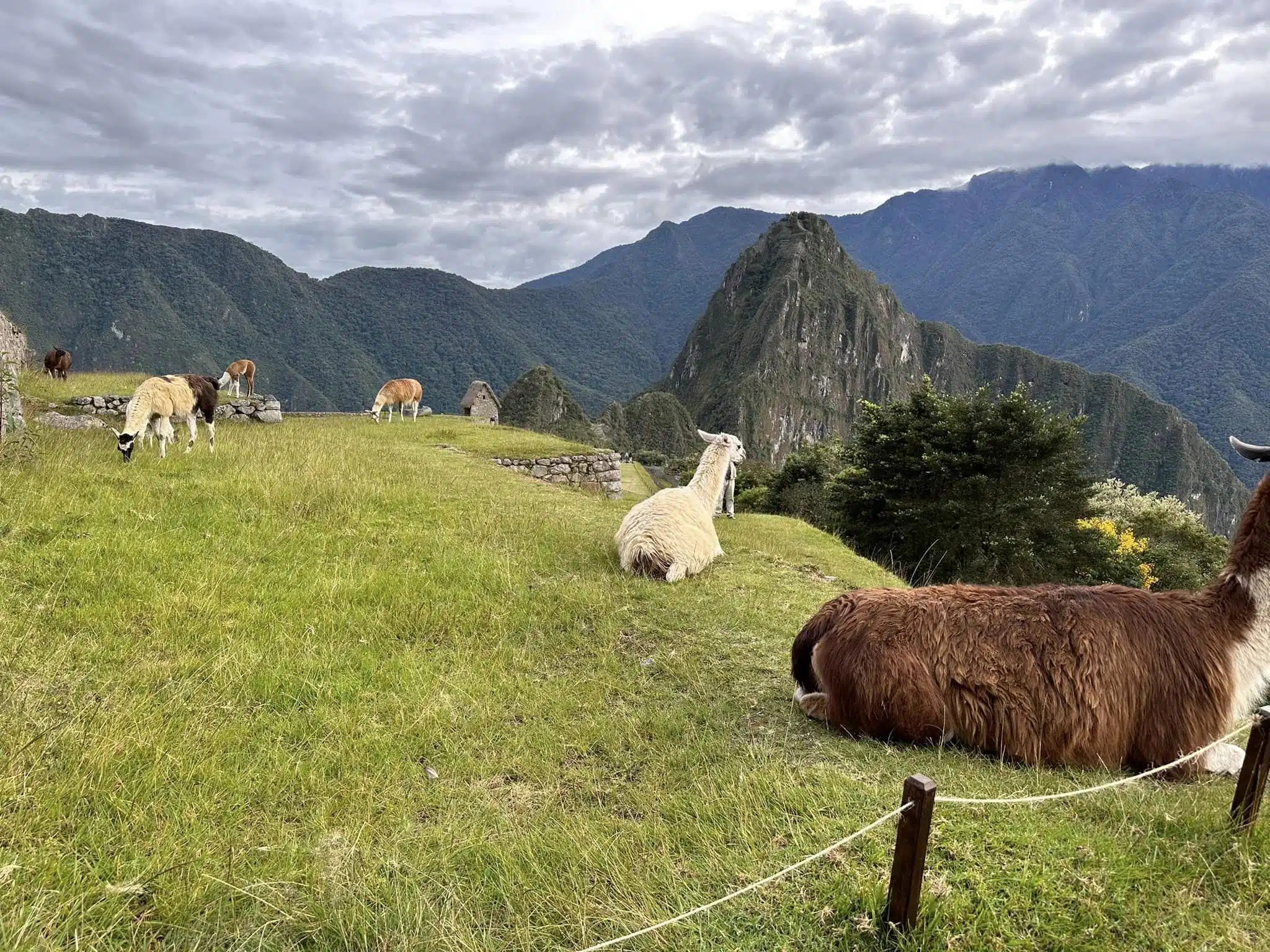 aguas calientes