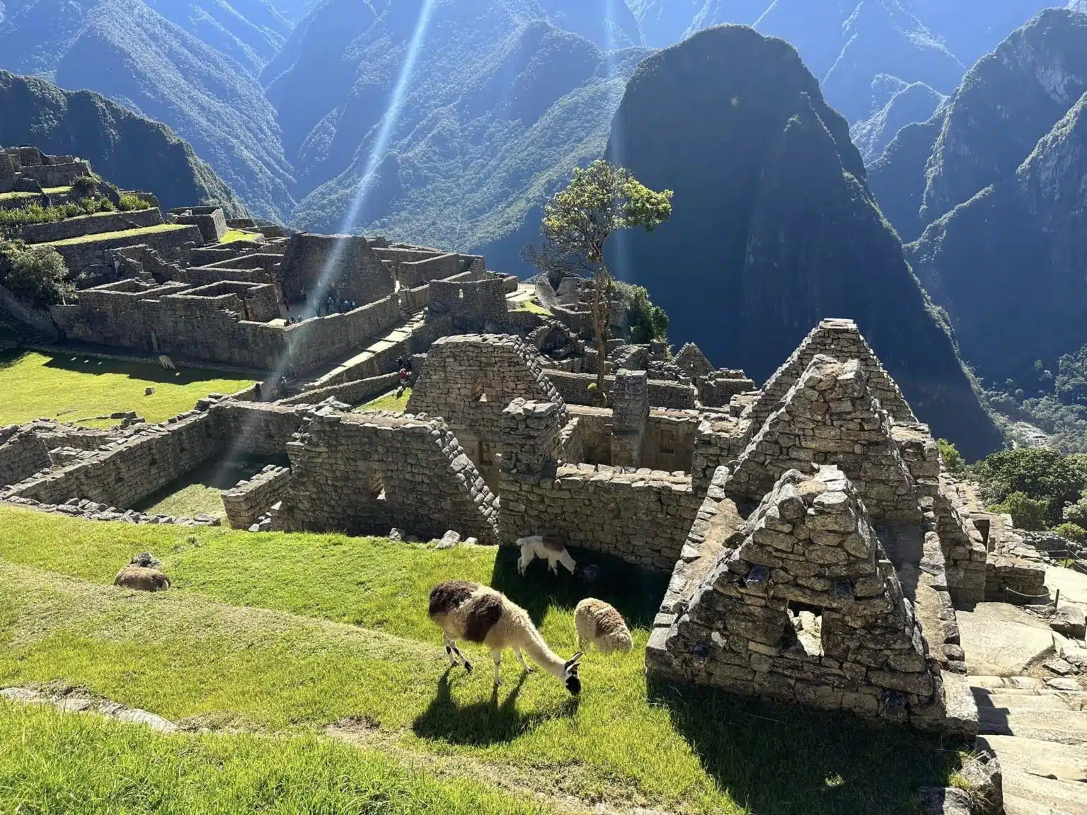 machu-picc